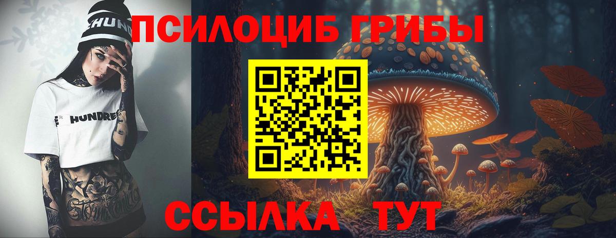 Братск  Псилоцибиновые грибы мицелий  Галлюциногенные грибы мухоморы  Вход с VPN 